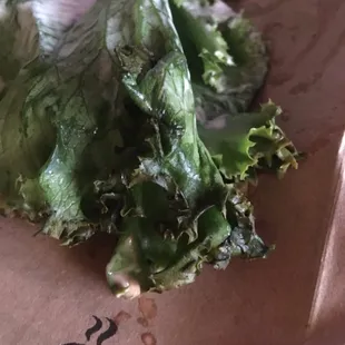 Looks fucking rotten
