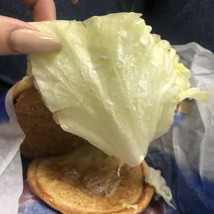 Half of lettuce . Waste of produce