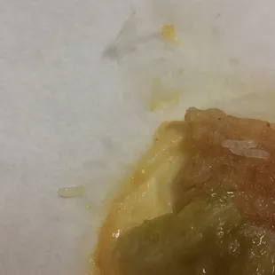 white worm/maggots