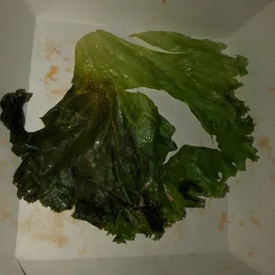 Lettuce
