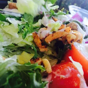 The salad is a whole plate with literally 5 burned pieces of chicken .