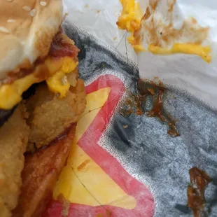 Was this hair put in the burger on purpose? Waste of our money.