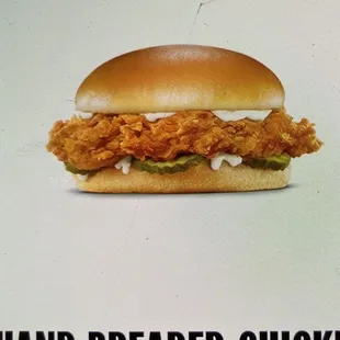 oysters and mussels, food