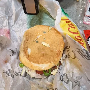 Mold on our sandwich