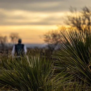 Carlsbad Caverns National Park Visitors Center