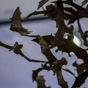 Carlsbad Caverns National Park Visitors Center