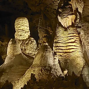 Looks like a bearded man