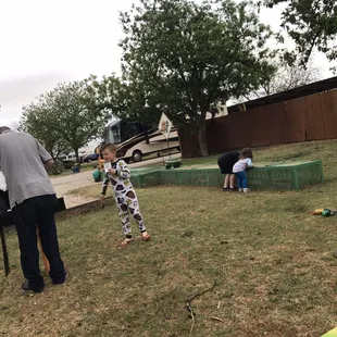 Checking out the turtles