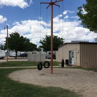 Tire Swing