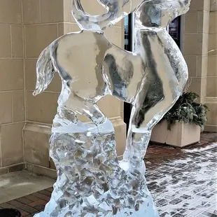 Winter ice sculpture (2018-9)