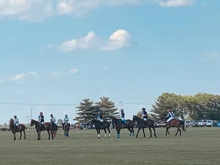 Hickory Hall Polo Club