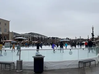 The Ice at Carter Green