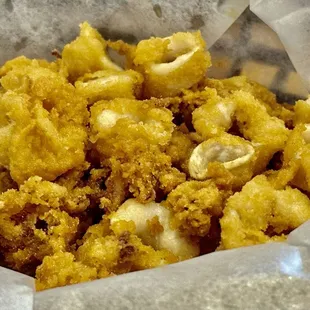 Calamari - July 31, 2024