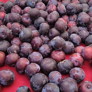 Flavorosa Pluots