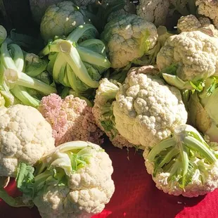 Is Cauliflower A Flower?