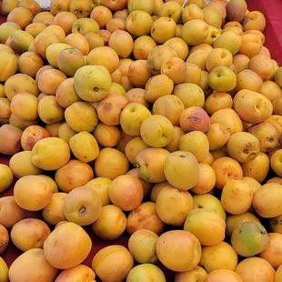 Apricots