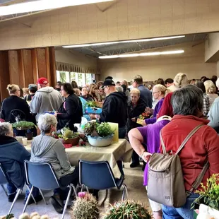 Carmichael Cactus and Succulent Society Show 2015