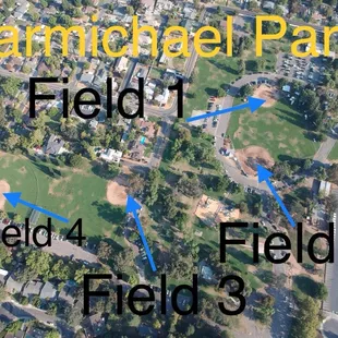 This might help you find the correct field.