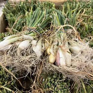 Carmichael's Produce