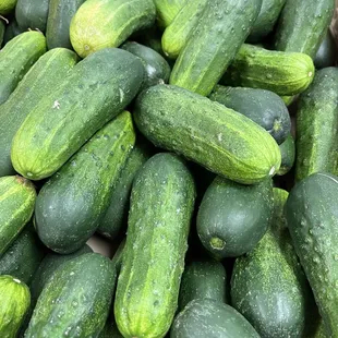 Pickling cucumbers