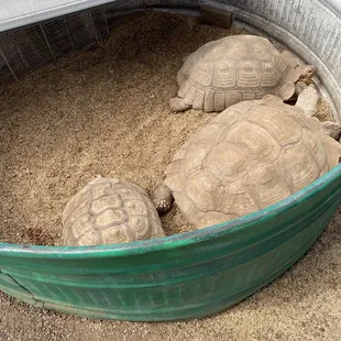 Hanging out with friends at Carmichaels