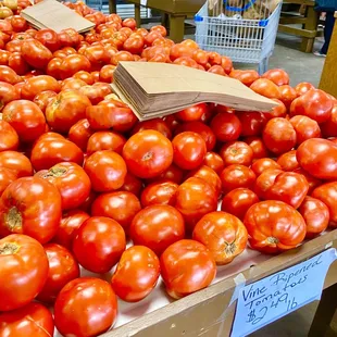 The very best tomatoes!