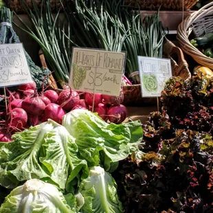 a variety of vegetables