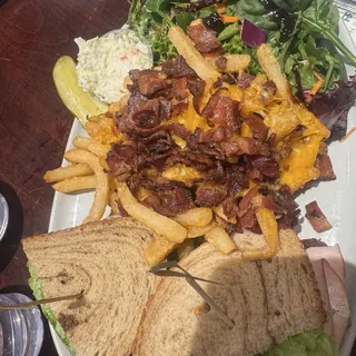 DLCalamari