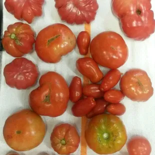 Heirloom tomatoes from our gardens