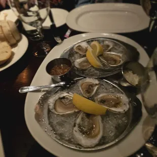 Oysters