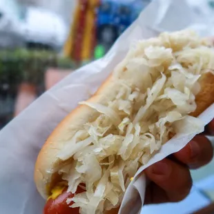 a hot dog with sauerkraut and sauerkraut