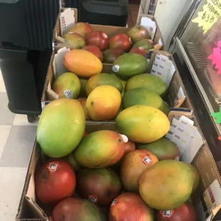 Mangos!