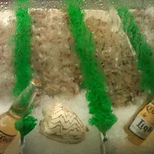 Fresh seafood...shrimps, octypus, fish..and much more
