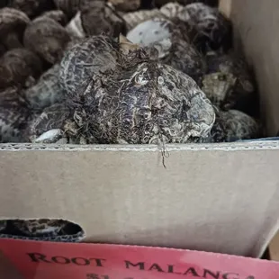 food, dough desserts, donuts