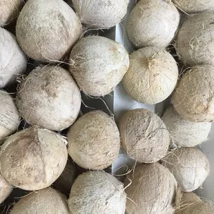 Coconuts