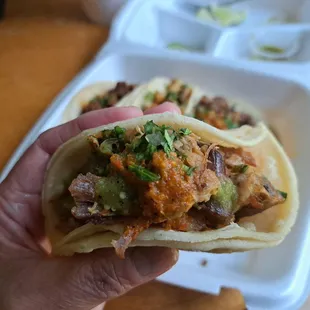 Carnitas taco