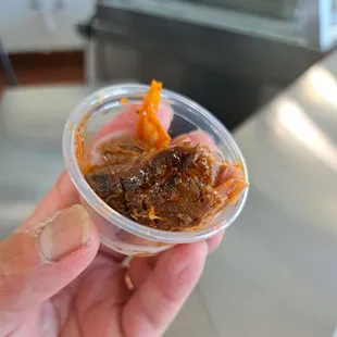 Sample of beef birria