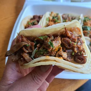 Tripa (beef tripe or intestine) taco
