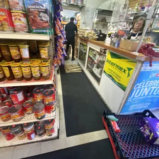 a dog in a grocery store