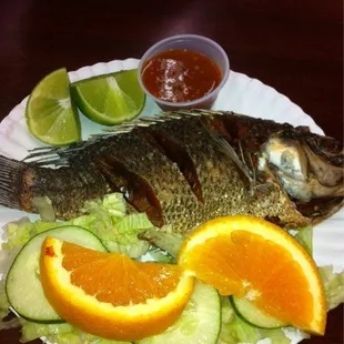 Tilapia