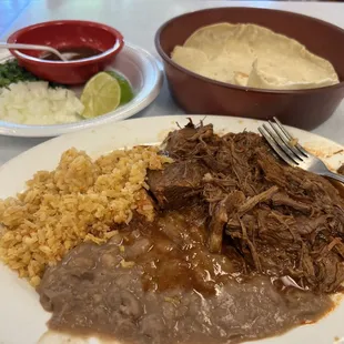 Amazing birria meal