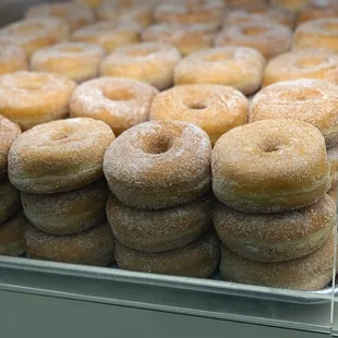 donuts in a display case