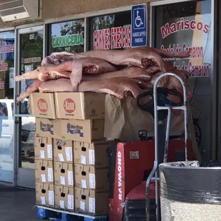 Ewwww this is how the meat is treated when it arrives. Not kept at a standard temperature. Fly are all over the meat. This can't be legal!