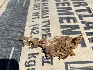 El Tio Tacos Y Marisco