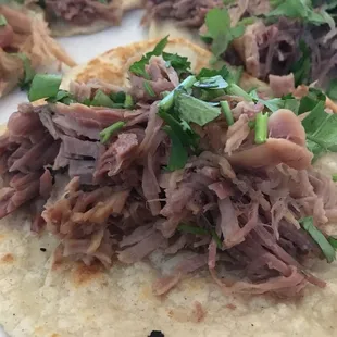 Close up of the Carnitas taco. No fat at all