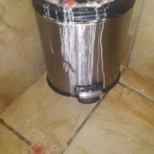 Notice the Chunks of Tomato in the puke on the Trash Can and Floor (over A FOOT away!) the owner claims is Soap? lol -Touch to view Full Pic