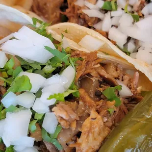 Day 12 of Carnitas Michoacan!