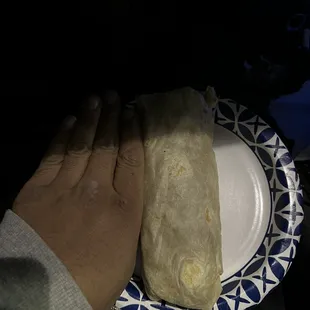 3 of my fingers are bigger than the burrito
