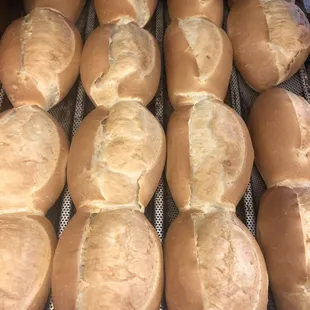 Fresh Bolillos made all day!
