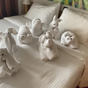 Towel animals!!